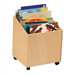 Big Book Storage Box