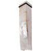 Sustainable Shell Big Sconce - Three Light