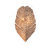 Banana Leaf Two Light Wall Sconce with Crushed Stained Capiz