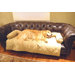 Protector� Pad with Bolster in Sage