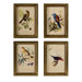 Wooden Bird Plaque (Set of 4)