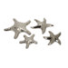 Cortland Star Fish in Silver (Set of 4)