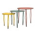 Reed Nesting Tables (Set of 3)