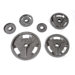  5 lbs Olympic Grip Plate