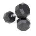  10 lbs Rubber Encased Octagonal Dumbbells