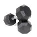15 lbs Rubber Encased Octagonal Dumbbell