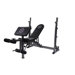 Renegade Strength Wide Olympic Bench