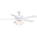 Aire Decor Builder Series 5 Blade Ceiling Fan