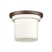 Zonix One Light Ceiling Fan Light Kit