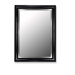 Mirror in Glossy Black Petite with Stainless Liner