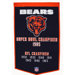 NFL Dynasty Banner