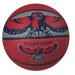 NBA Courtside Basketball