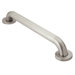 SecureMount 18" Peened Grab Bar in Stainless Steel