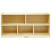 Storage Cabinet