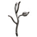 Sassafras Double Hook