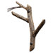 Pine Double Hook