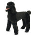 Standard Poodle Plush Stuffed Animal