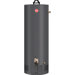 Fury 40 Gallon Natural Gas Water Heater