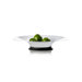 Stainless Steel Dish