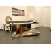 Reef Rectangular Pillow Dog Bed