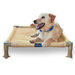 Cool Cot Elevated Dog Bed