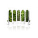Mini Herb Savor Pickups (Set of 3)
