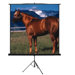 100" Tripod Screen in Matte White