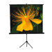70" x 70" Tripod Screen in Matte White