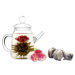 Blooming Teapot Duo Assorted Tea Gift Set