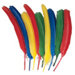 Quill Feathers Bonus Bag Of 24