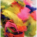 Feathers Bright Hues