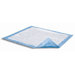Dri-Sorb&reg; Underpads (23" x 36")