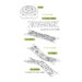 Water-Lily (Set of 12)