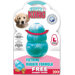 Large Puppy Kong Toy