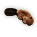 Dr. Noy's Beaver Plush Dog Toy