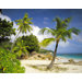 Fototapete 'Praslin' - 368 x 254 cm