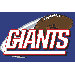 NFL Novelty Rug