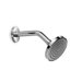 Linea Supioni Shower Head
