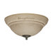 Trella Light Fixture