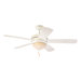 Summerhaven Ceiling Fan
