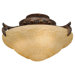 Royal Danube Three Light Ceiling Fan Light Kit or Semi Flush Mount