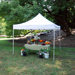Festival Instant Canopy