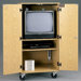 Mobile TV / VCR Multimedia Cabinet