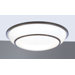 Delano 2 Light Flush Mount