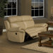 Motion Apollo Leather Reclining Loveseat