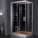 Platinum Pivot Door Steam Shower