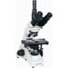 Research Scope with Trinocular Head and Infinity Objectives