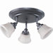 Richmond Hills Directional Semi Flush Mount