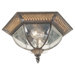 Outdoor Flush Mount in Mocha/Tan
