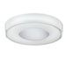 Spirit 1 Light Flush Mount